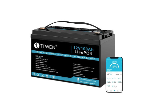 Акумулятор TTWEN 12V 100Аh 1280Wh LiFePO4 + Bluetooth
