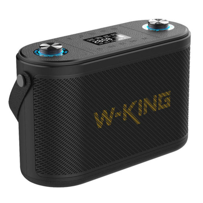 Портативна акустика W-KING H10 120W, чорна