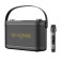 Портативна акустика W-KING H10S 80W, чорна