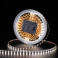 LED стрічка KLOODI KD2216-120-5W-4К-24V 5W 120LED 4000K 500LM IP20 24V 