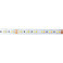 LED стрічка KLOODI KD2835-120-14W-CCT-24V 14W 120LED 2500-6000K 950LM IP20 24V