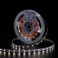 LED стрічка KLOODI KD2835-60-4.8W-4К-24V 4.8W 60LED 4000K 405LM IP20 24V 